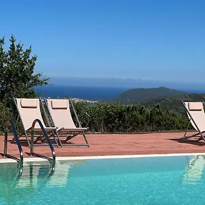 Trasicca , Brunella Italy