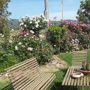 Il Vecchioliveto Di Ornella , Marrubiu Italy
